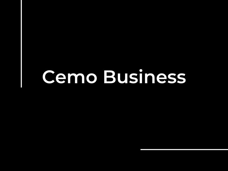 cemo business portfolio